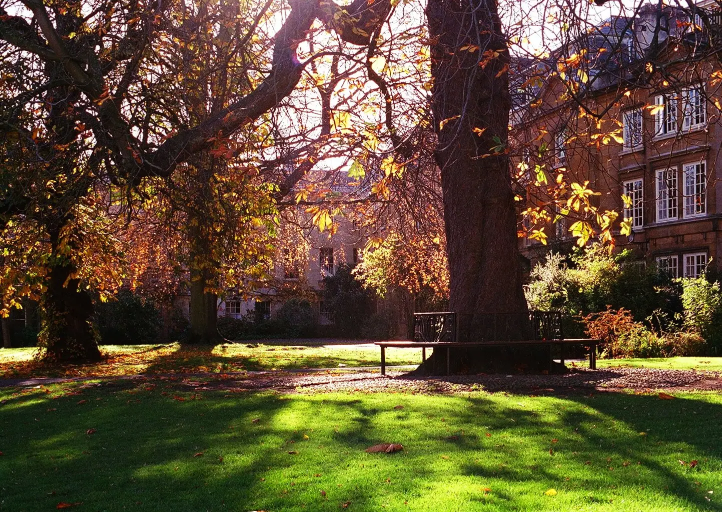 Garden Quad Balliol College 2004 11